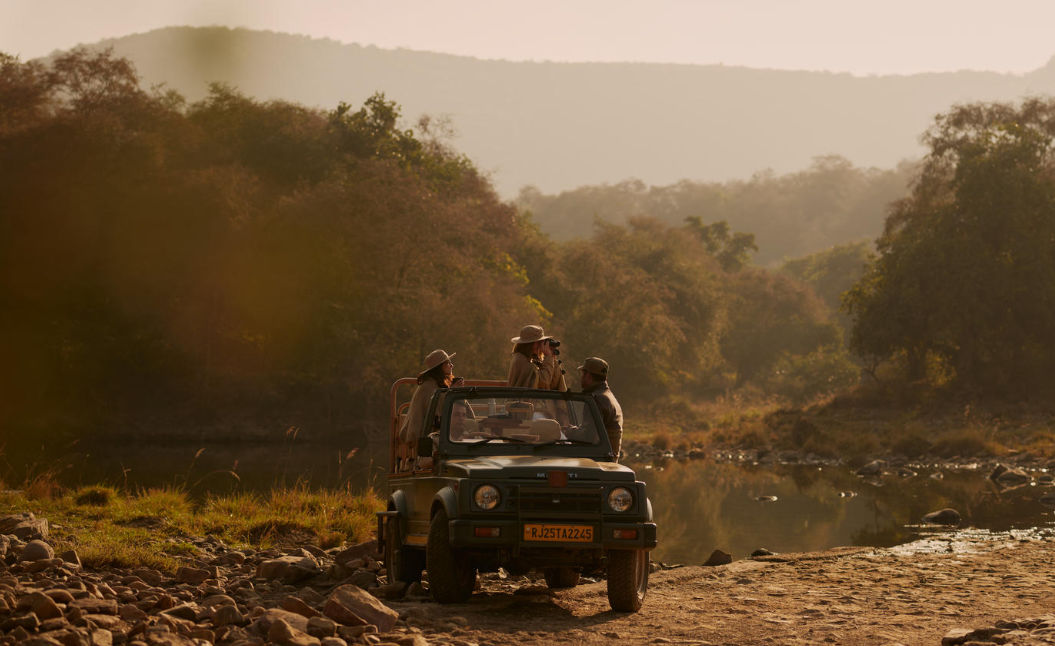 Wildlife safaris