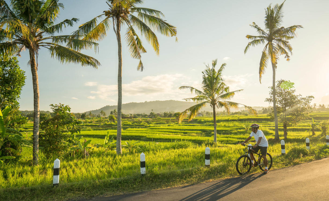 Cycling, hiking and trekking