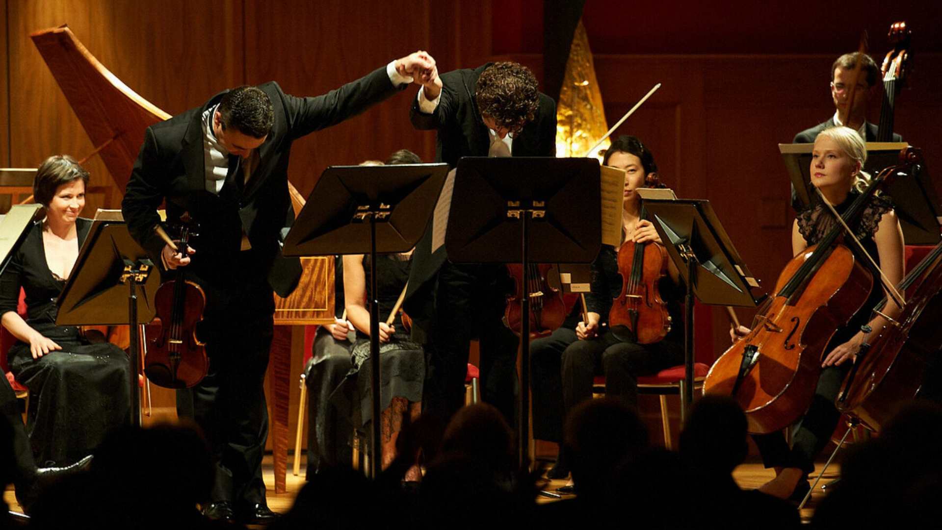 Concerts and culture 