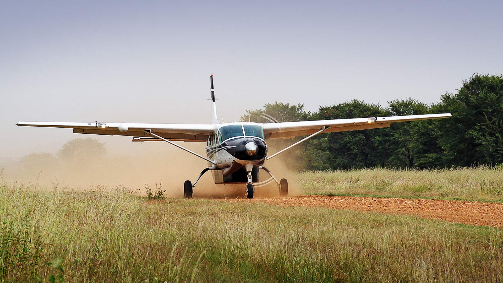 From Bush to Sky