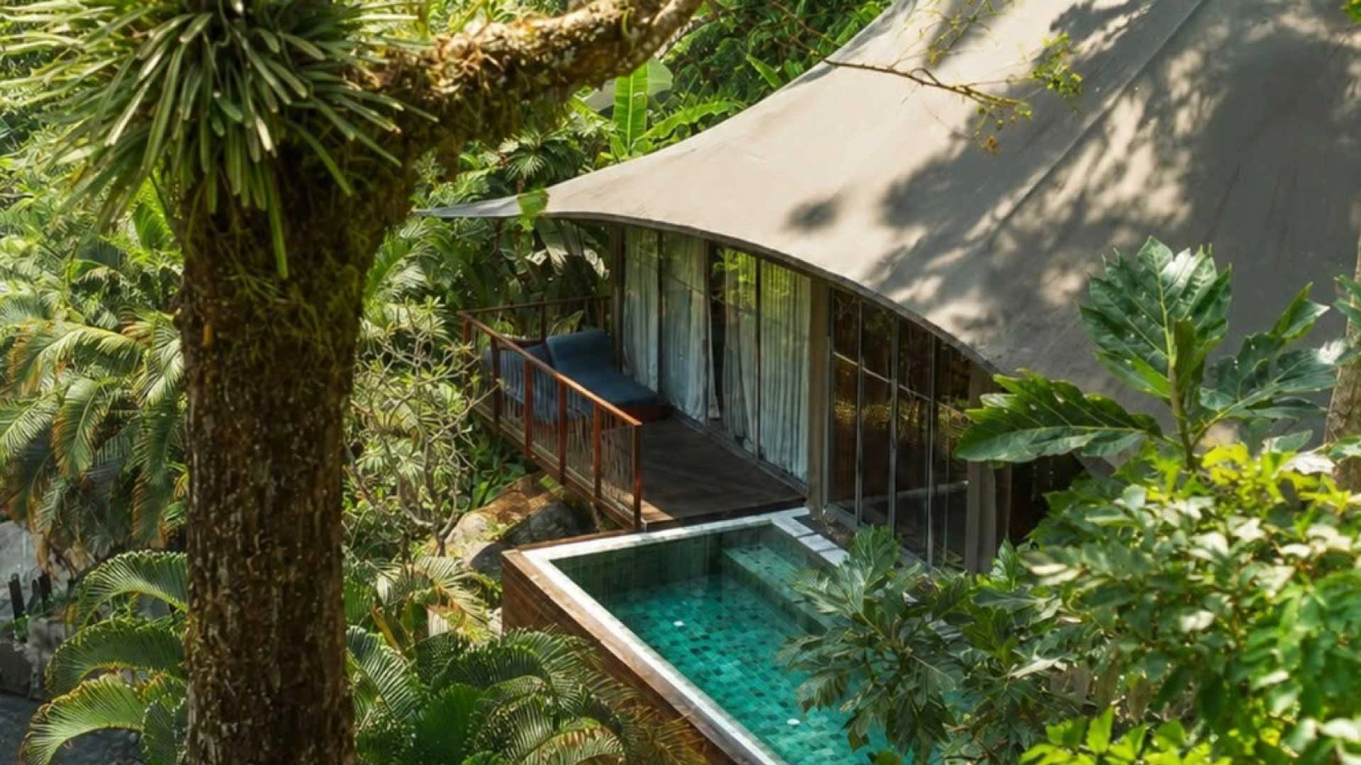 Sleep Among the Treetops
