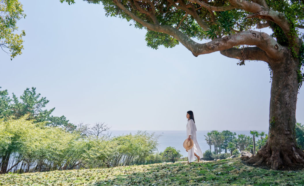 JW Marriott Jeju Resort & Spa