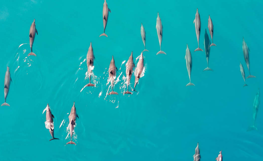 The Ritz-Carlton Maldives, Fari Islands