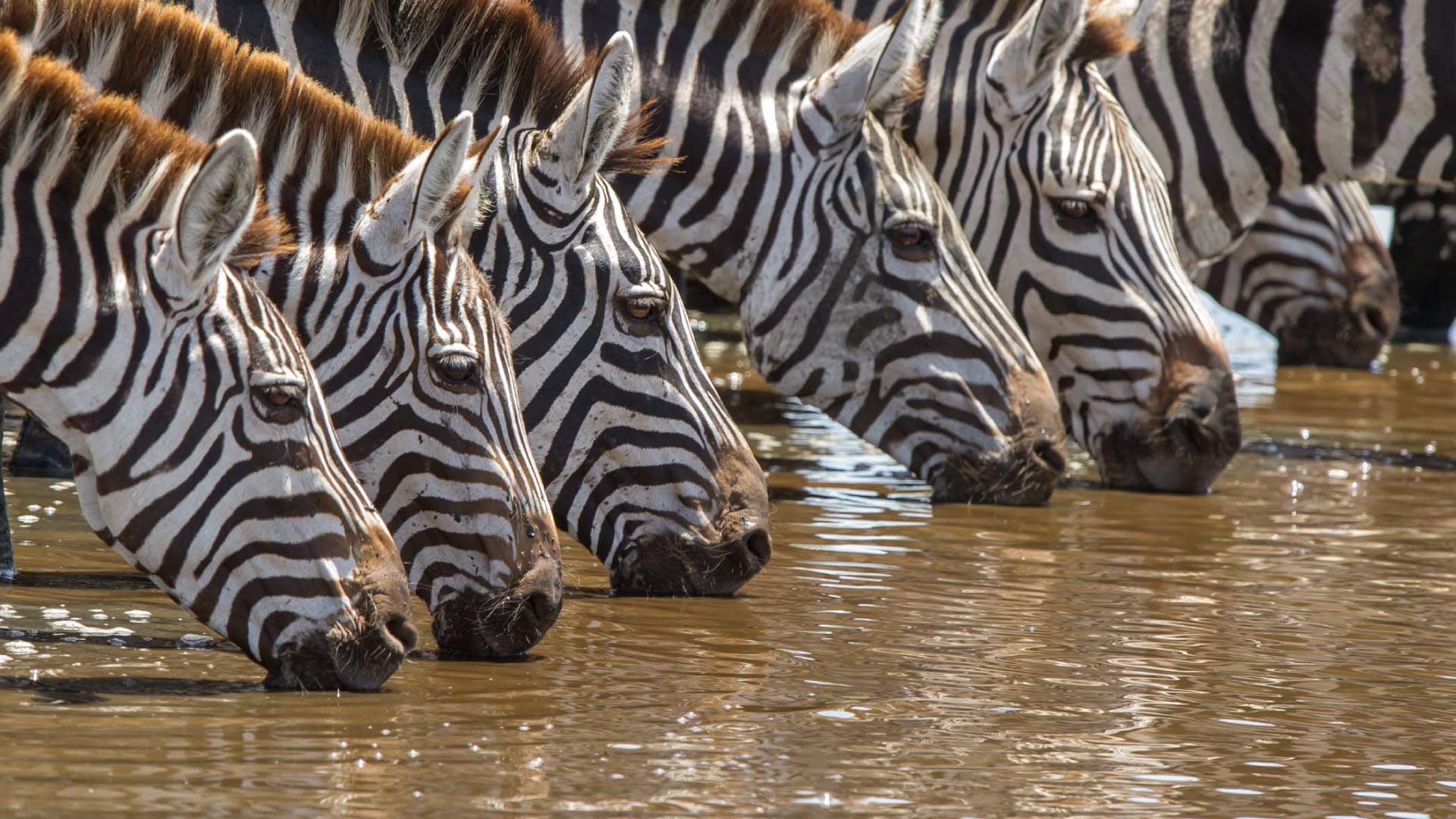 8 Days 7 Nights Kenya