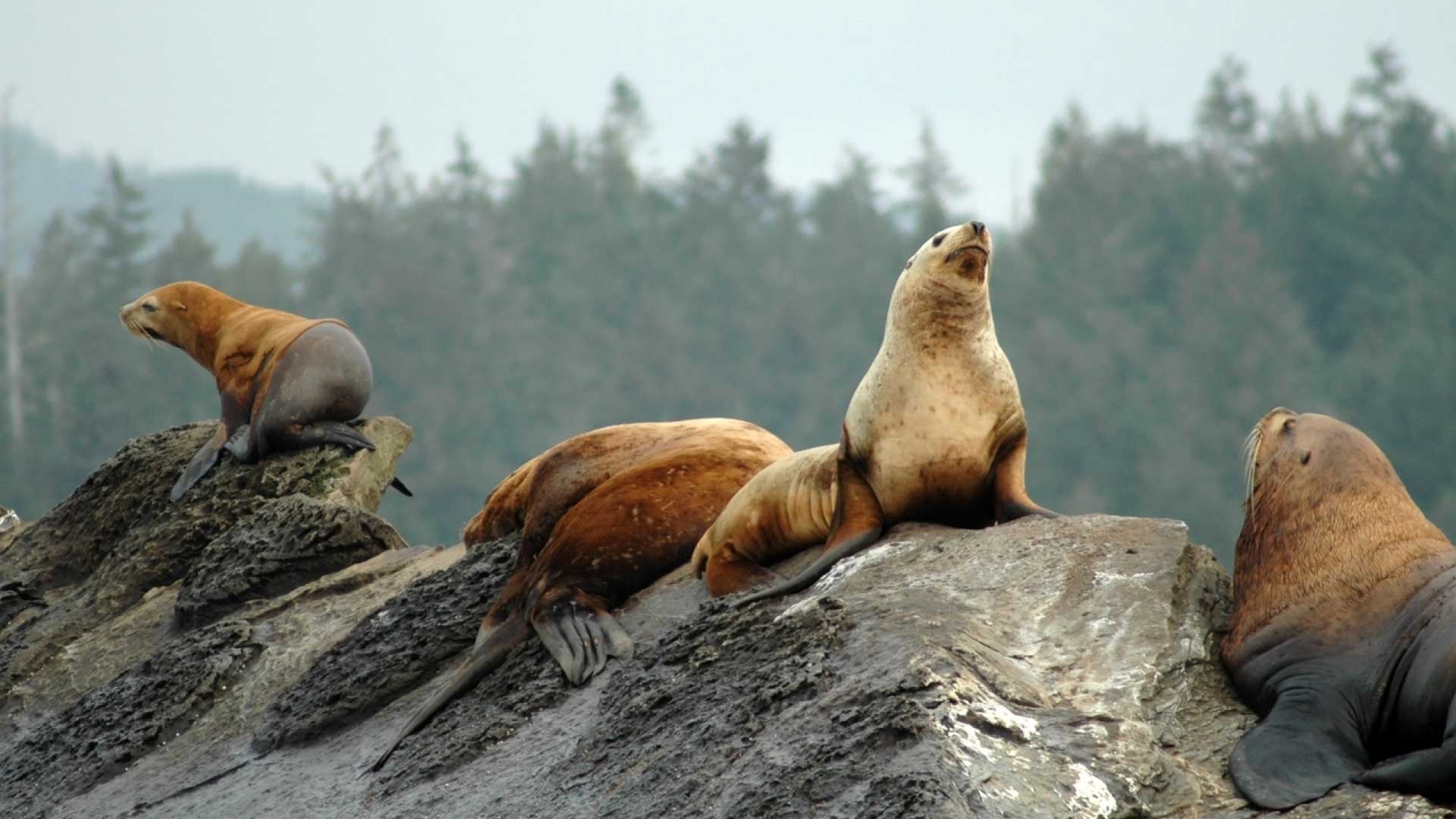 8 Days 7 Nights Vancouver Roundtrip