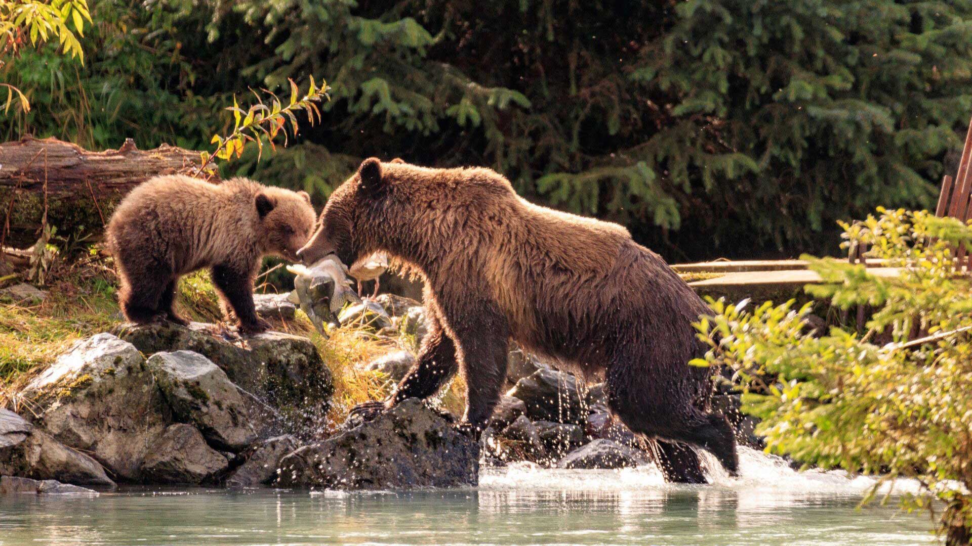 8 Days 7 Nights Vancouver Roundtrip