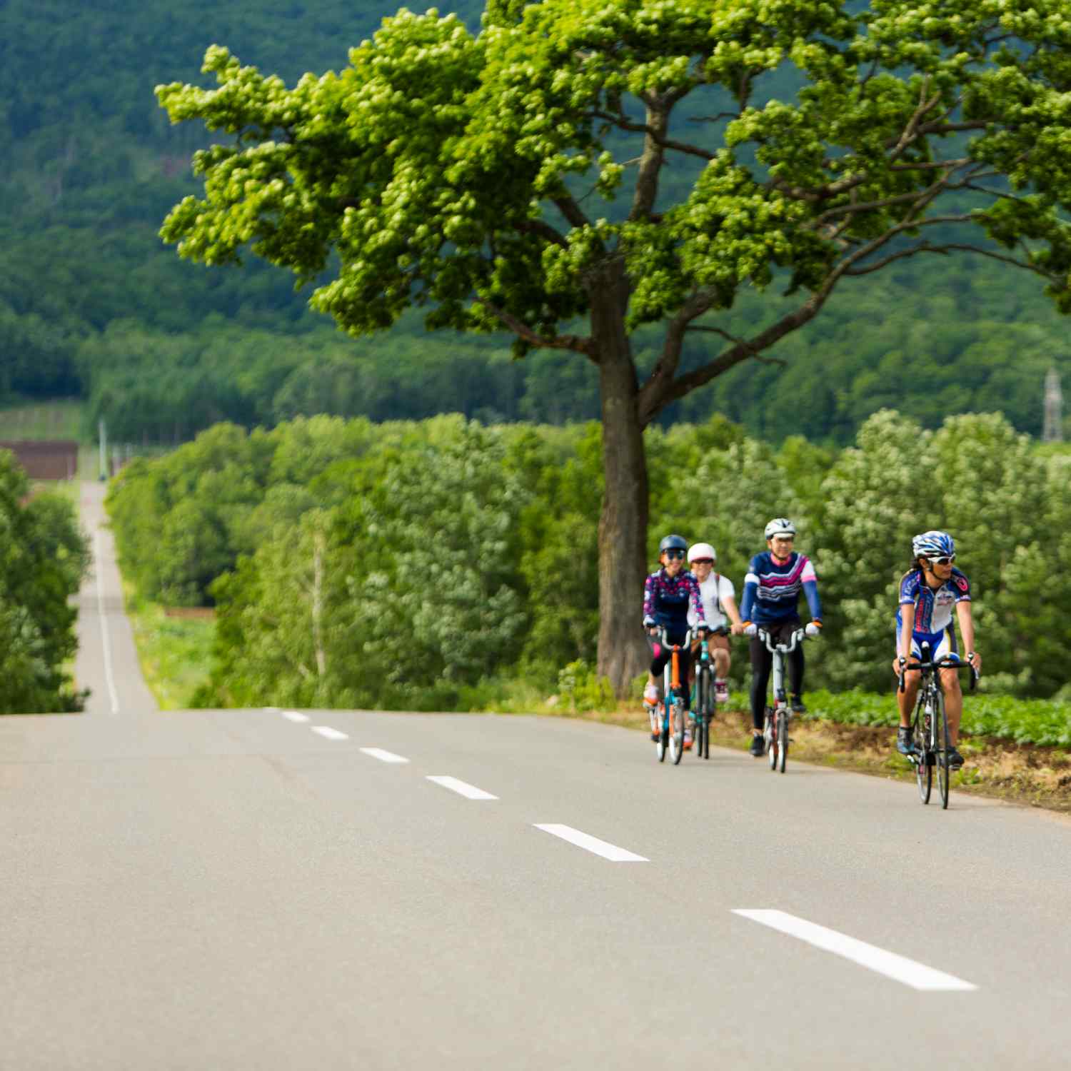 5 DAYS 4 NIGHTS THE NISEKO VILLAGE TANUKI GOLF INVITATIONAL