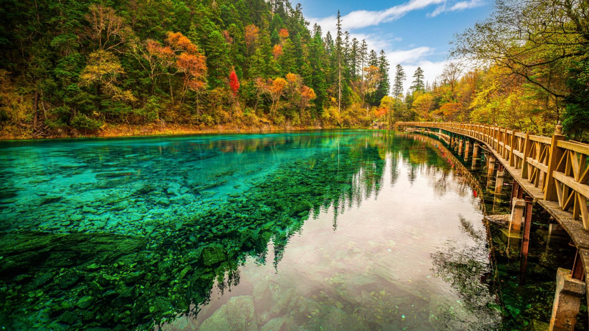 Banyan Tree Jiuzhaigou